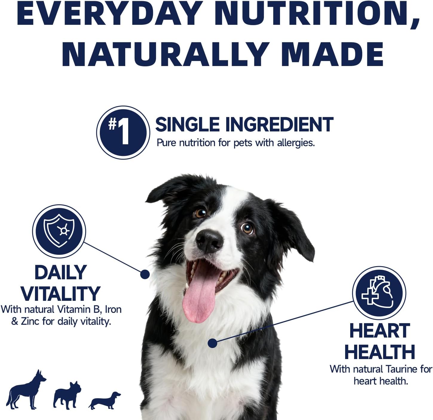Freeze Dried Beef Hearts for Dogs and Cats, Single Ingredient, High Protein Soft Training Treats, All Natural Healthy Pet Snacks Food Topper for Heart Health, Perfect for Picky Eaters, 5.29 oz