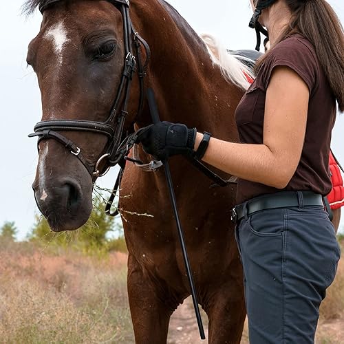 Miniatura 5 de YFCQBB Juego de 2 piezas de 18 pulgadas, color negro, 21 pulgadas
