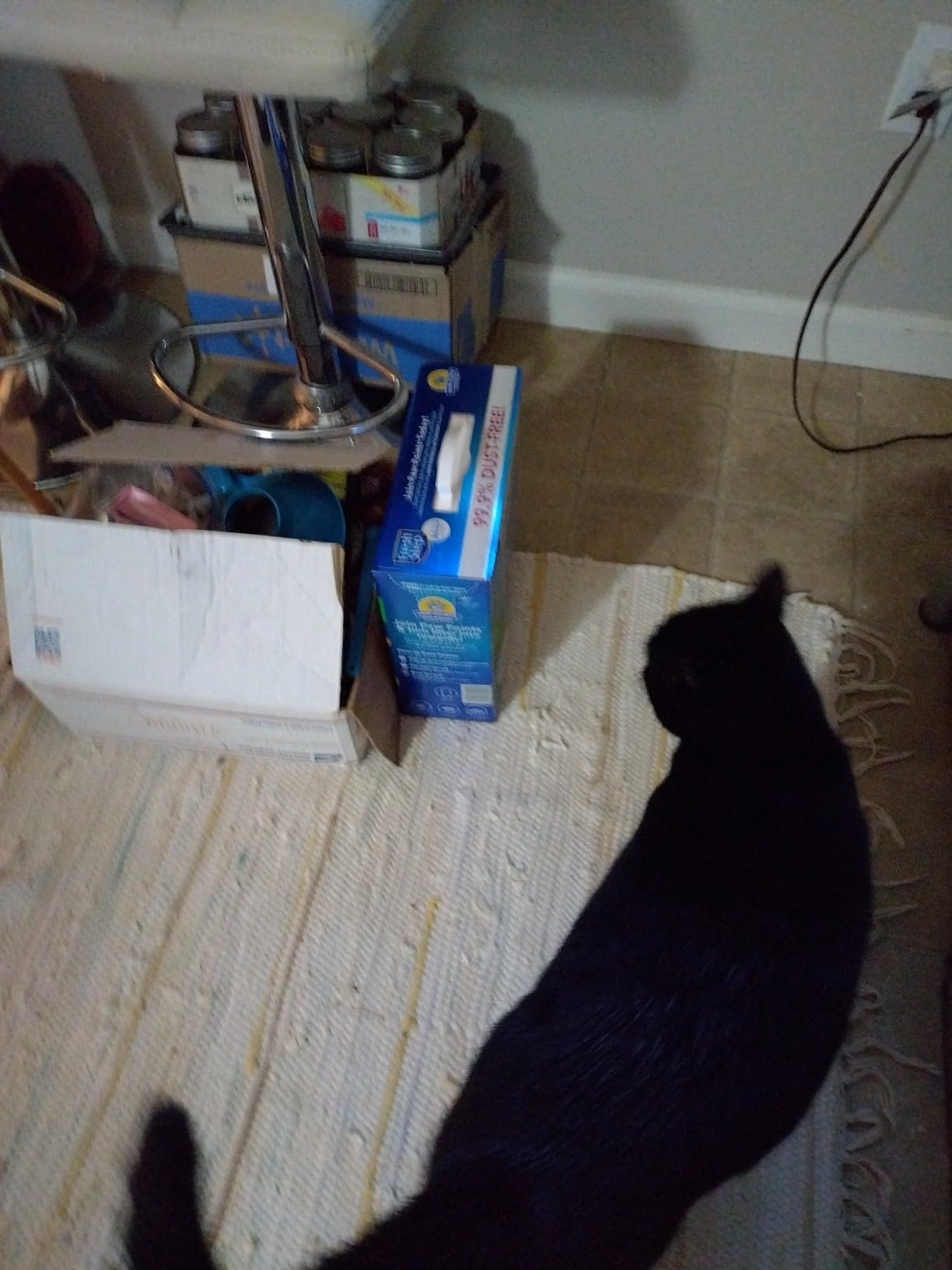 Fresh Step Clumping Cat Litter, Multi-Cat, Long Lasting Odor Control Kitty Litter with Activated Charcoal, Low Dust Formula, 14 lb photo review