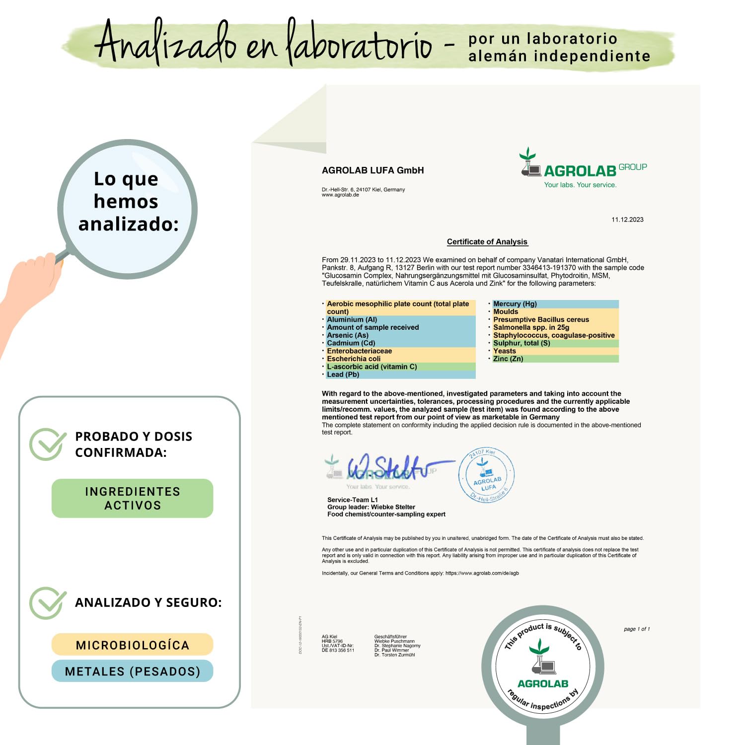 Vegavero Glucosamina Complex | CONDROITINA + MSM | Articulaciones + Antiinflamatorio + Cartílago | 100% VEGANO | Harpagofito + Zinc+ Vitamina C | 180 Cápsulas