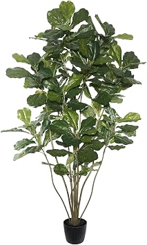 Vickerman Everyday Faux Fiddle Leaf Fig Tree 6ft Tall Green Silk Artificial Indoor Fiddle Plant with 204 Large Fiddle Leaves and Multiple Stems Home Office Decor
