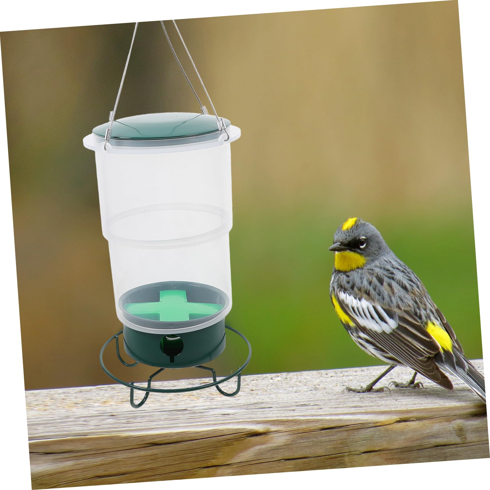 Hängender Hummingbird Feeder Wetterbeständige Futterstation Für Außenbereich Design Mit Schmetterlingsornament Für Garten Und Terrasse