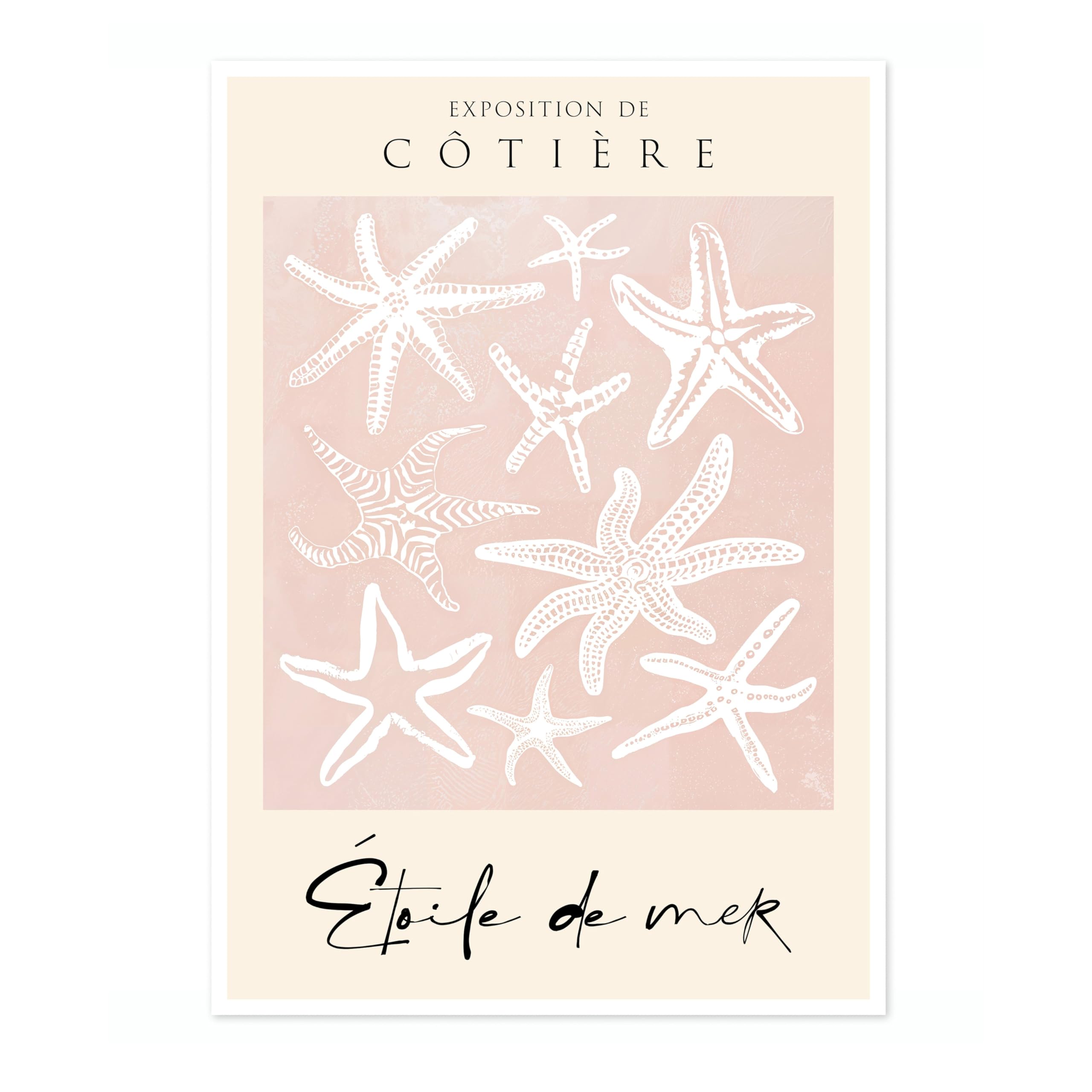 Animato Starfish Nautical Exhibition Art Print, Vintage Botanical Prints, Retro Sealife Oceanography Illustration Wall Art Pictures, Nature Bathroom Home Decor, A4 (Print Only) - 29.7x21cm