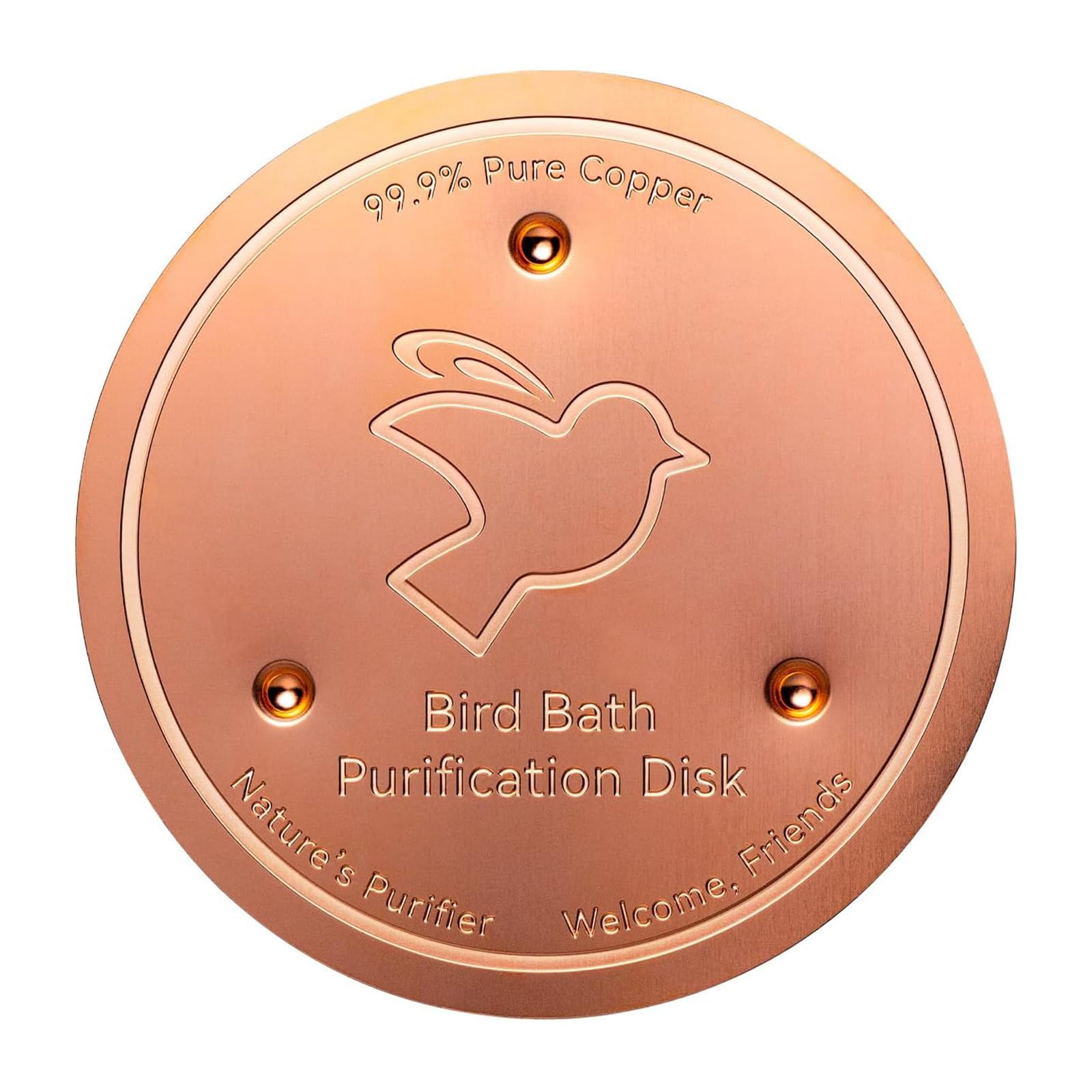 Pure Copper Bird Bath Purification Disk, 0.8cm Water Cleaning Disc