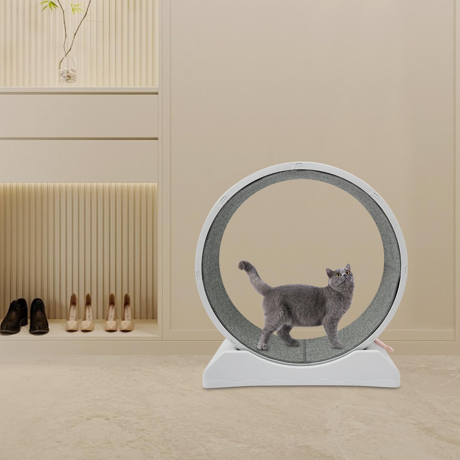 gato rueda de ejercicio carrera gato rueda alfombra gatos ruedas silenciosa ejecución interior marco escalada hámster tamaño gerbolitas rata chinchilla juguete bola jaula juguetes