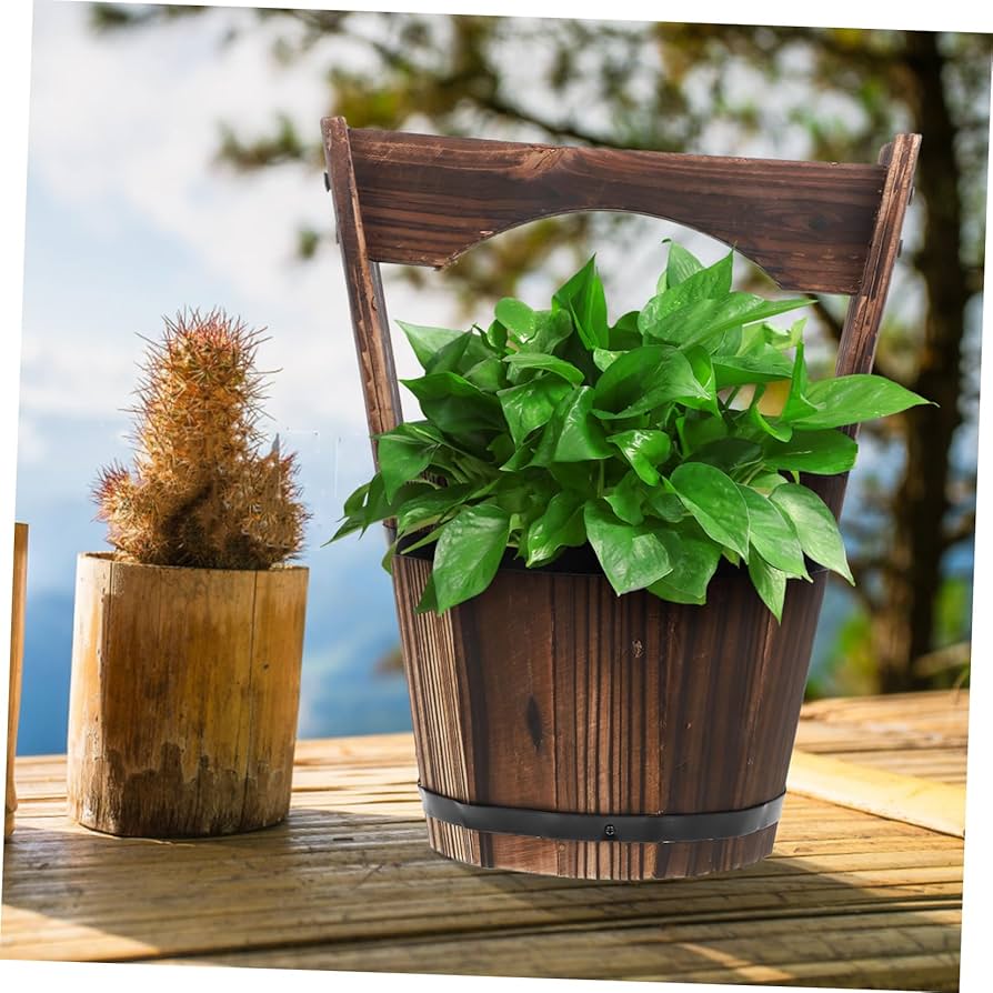 アート 柑橘の鉢植え 木製パネル by Katherine Barnell アート 柑橘の