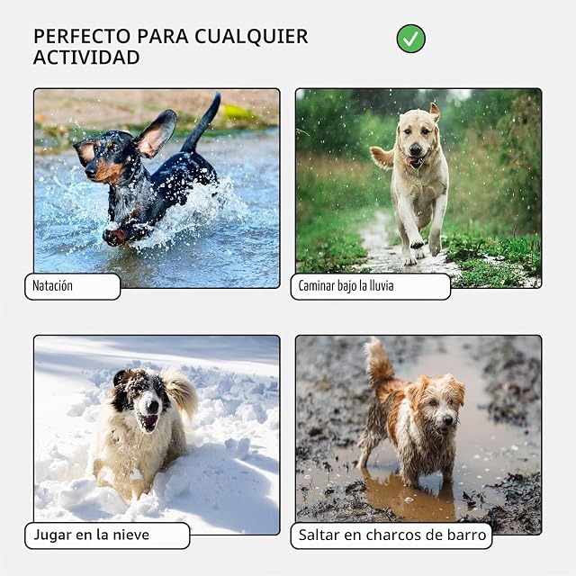 Foto 4 de 6 de CollarDirect Adjustable Dog Collar Colorful Waterproof Nylon Pet Collars for Small Medium Large Dogs Puppy…