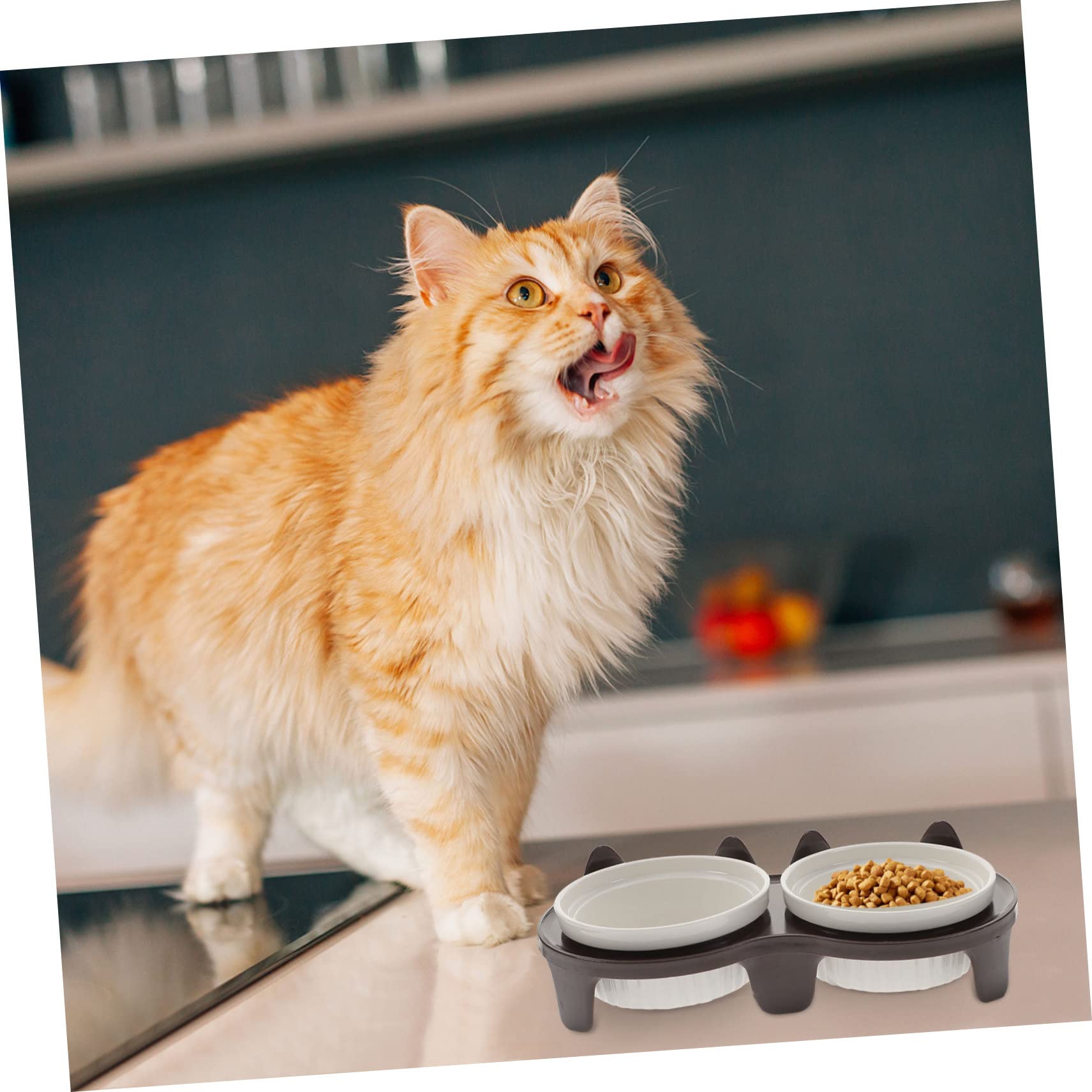 VICASKY Gamelle pour Chat Céramique Antidérapante Gamelle Surélevée Pratique pour Nourrir Chats et Chatons Accessoire de Sol Réutilisable