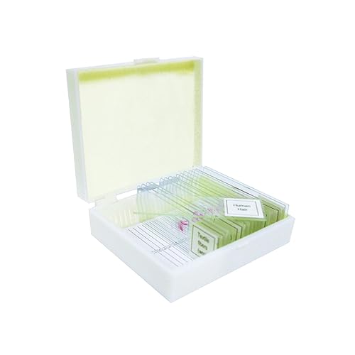 Vision Scientific VSH130 - Juego de diapositivas preparadas – Meiosis y mitosis (juego de 9) Paquete | Las diapositivas están claramente etiquetadas