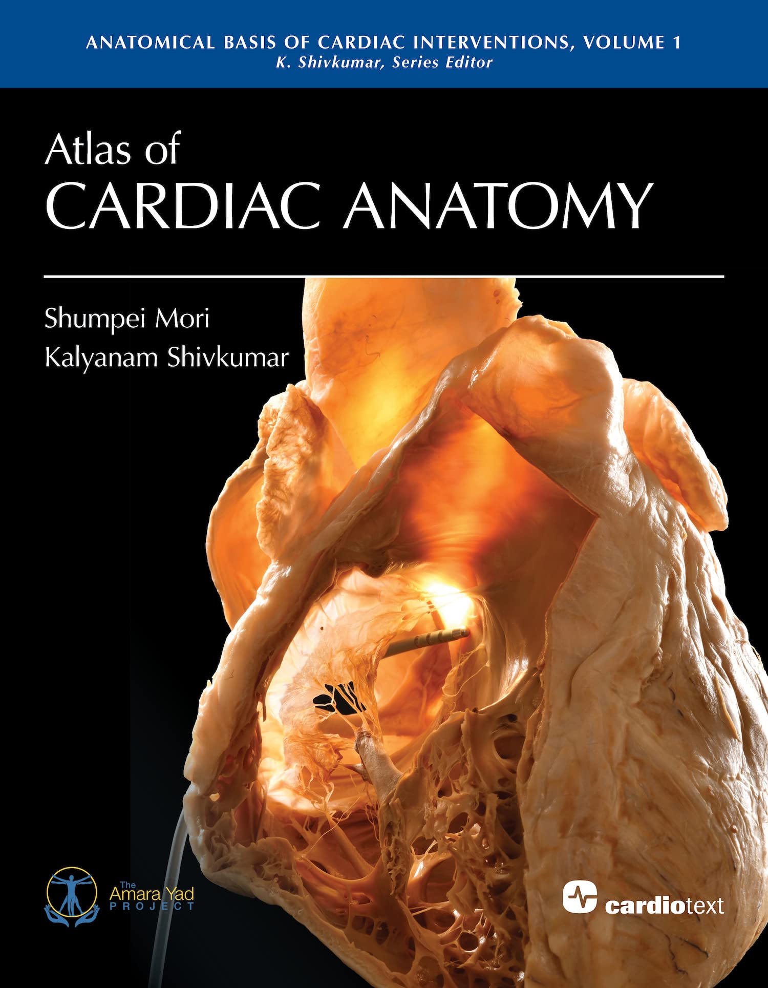 Atlas of Cardiac Anatomy (Anatomical Basis of Cardiac Interventions) (English Edition)