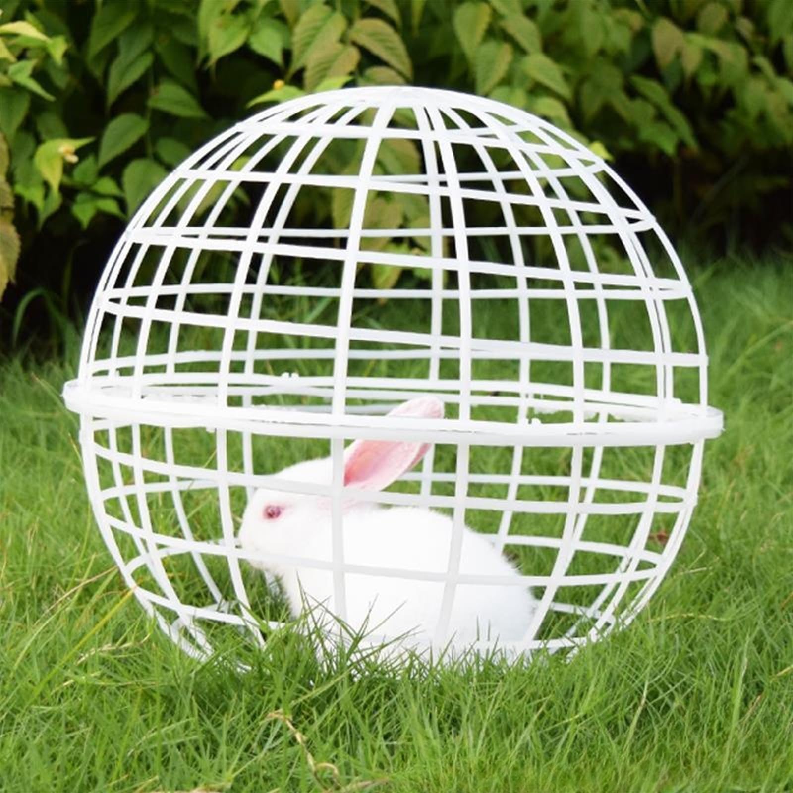 Cage à Boules Roulantes Pour Poulet, 20/40/50cm, Portable, Gamme Libre, Alimentation De Sécurité, Boules De Poulet Pour Lapins, Canards Et Poulet