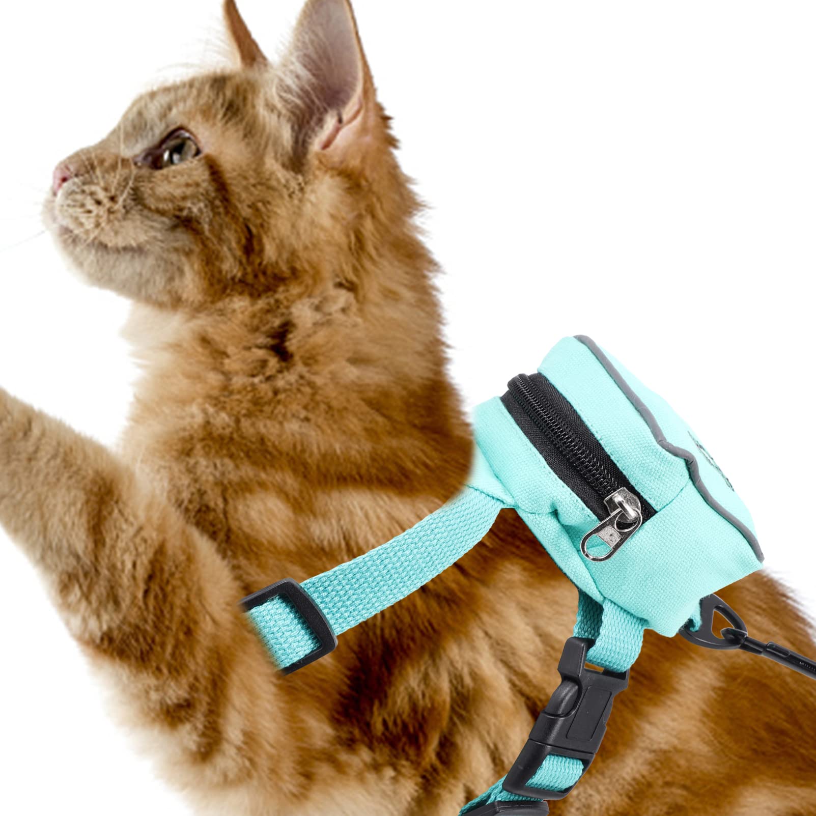 Balacoo Cat and Dog Harness Leash Vest Polyester Material Comfortable and Outdoor Activities