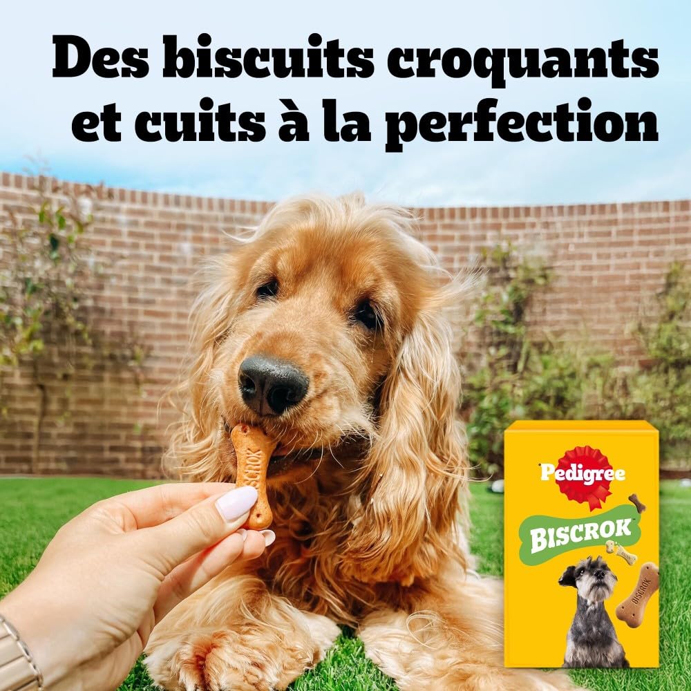 Pedigree Biscrok Multi Mix 500 g friandises pour Chien (Pack de 12)