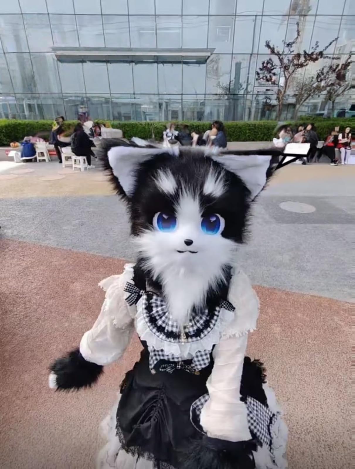 Częściowy zestaw Fursuit, czarny biały kot lis futrzana głowa łapy ogon zestaw do cosplay
