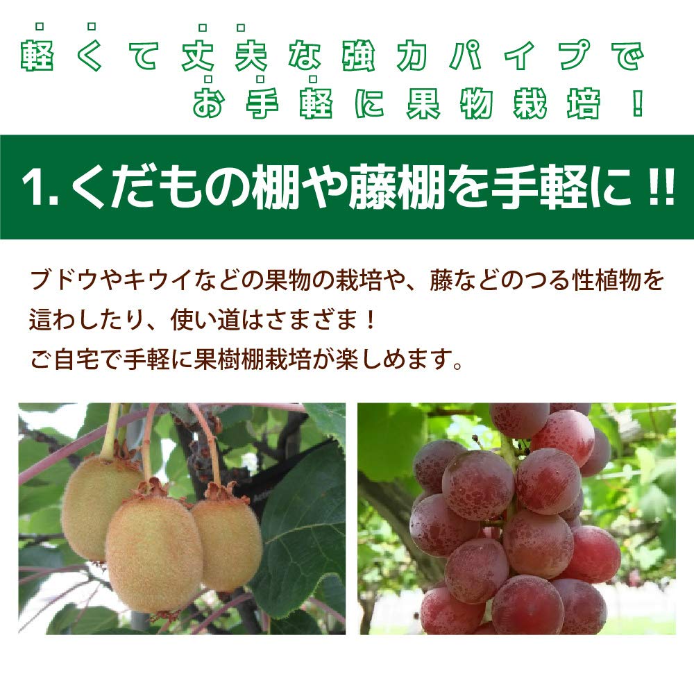 Amazon | DAIM 果樹棚セット 幅2m×奥行3m×高さ2m（※50cm埋め込み時