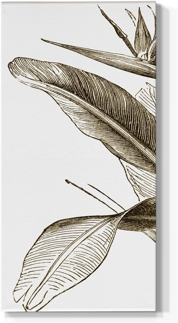 Renditions Gallery Canvas Wall Art Modern Paintings & Prints Decorations Vintage Paradise Bird Abstract Black & White Romantic Wall Hanging Artwork for Bedroom Office Kitchen - 12"x24" LT517
