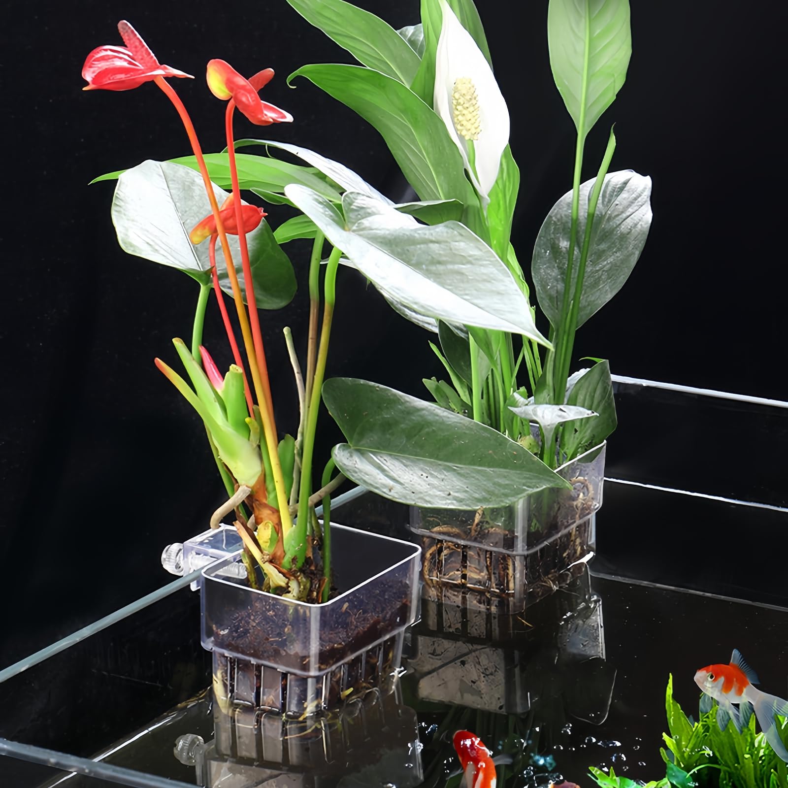 GOMETY Lot de 6 supports de plantes d'aquarium transparents pour aquarium, paniers à plantes suspendus, avec trous, support pour plantes aquatiques, décoration d'aquarium