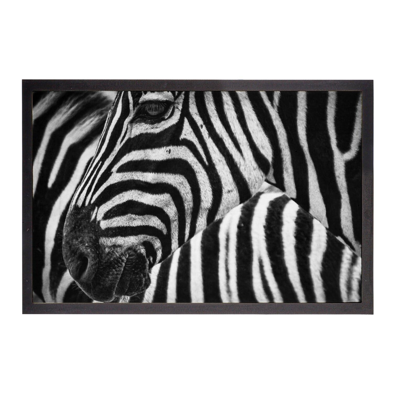 Paillasson tête de zèbre sauvage tapis d'entrée design savane d'Afrique 75x50cm