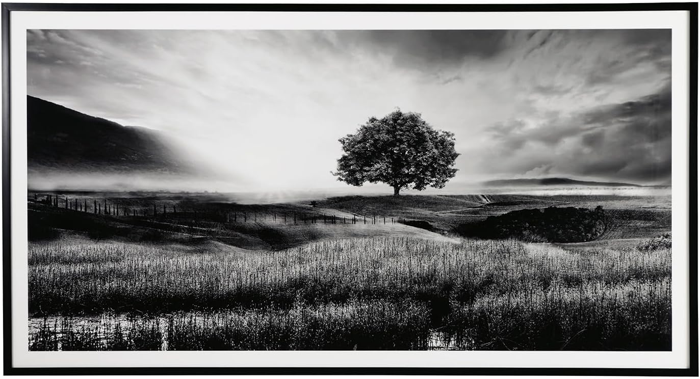 Signature Design by Ashley Oversized Framed Wall Art, Black/White | 87-inch wide contemporary nature print, Polystyrene frame with acrylic, Wall art for living room designs, Deborland Series