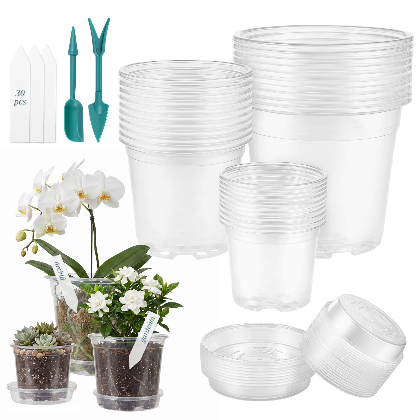 Lot de 30 pots de culture transparents avec 30 soucoupes, étiquettes de plantes et outil de transplantation, 3 tailles, bols de semis pour culture de plantes, graines, fleurs, fruits, légumes