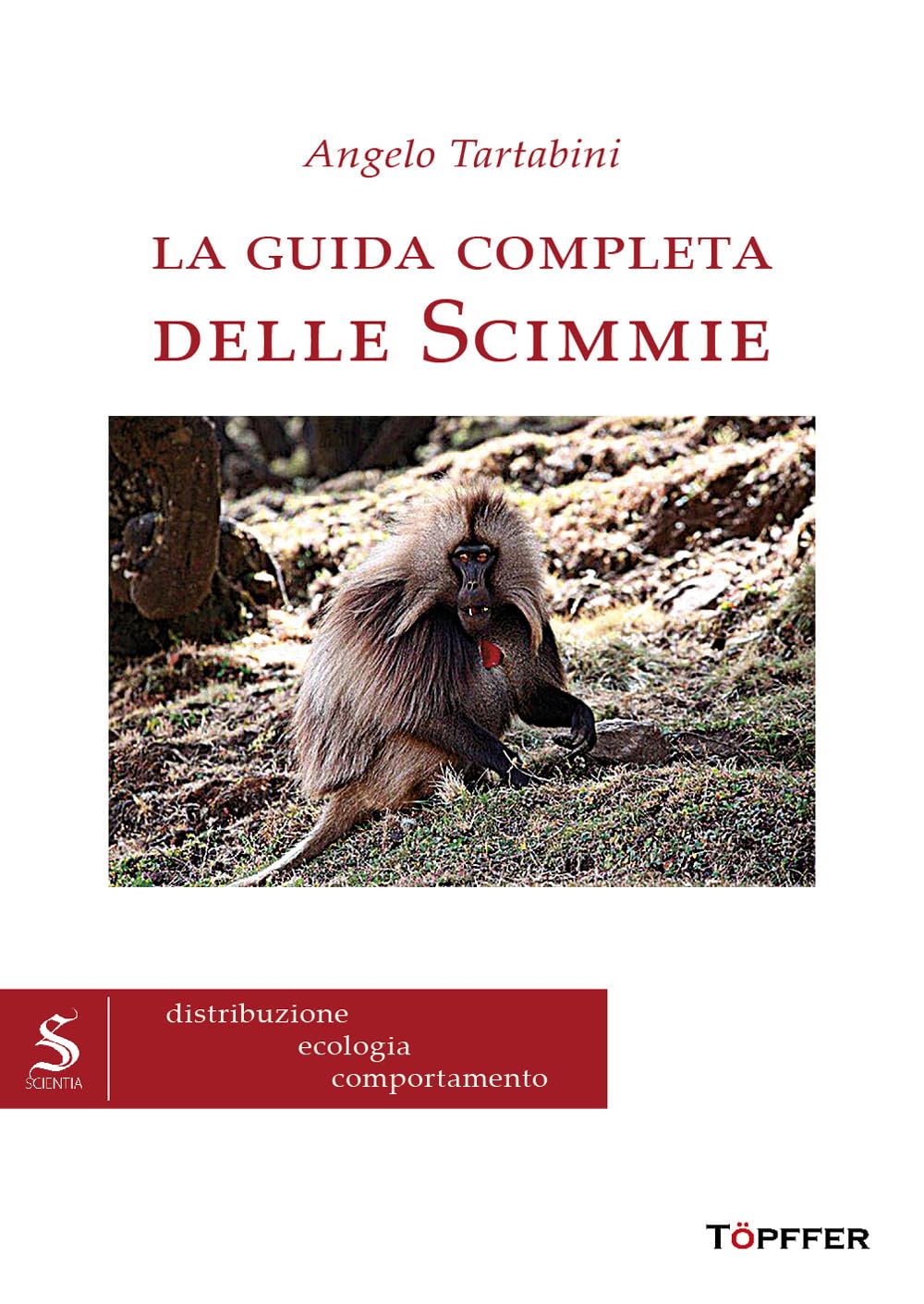 La Guida Completa Delle Scimmie - 4