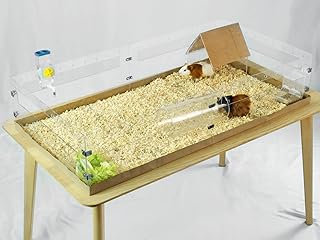 GuineaLoft ™ Guinea Pig Cage - Large 4 ft x 2 ft Play Area with Transparent Acrylic Panel Walls for an Unobstructed View a...