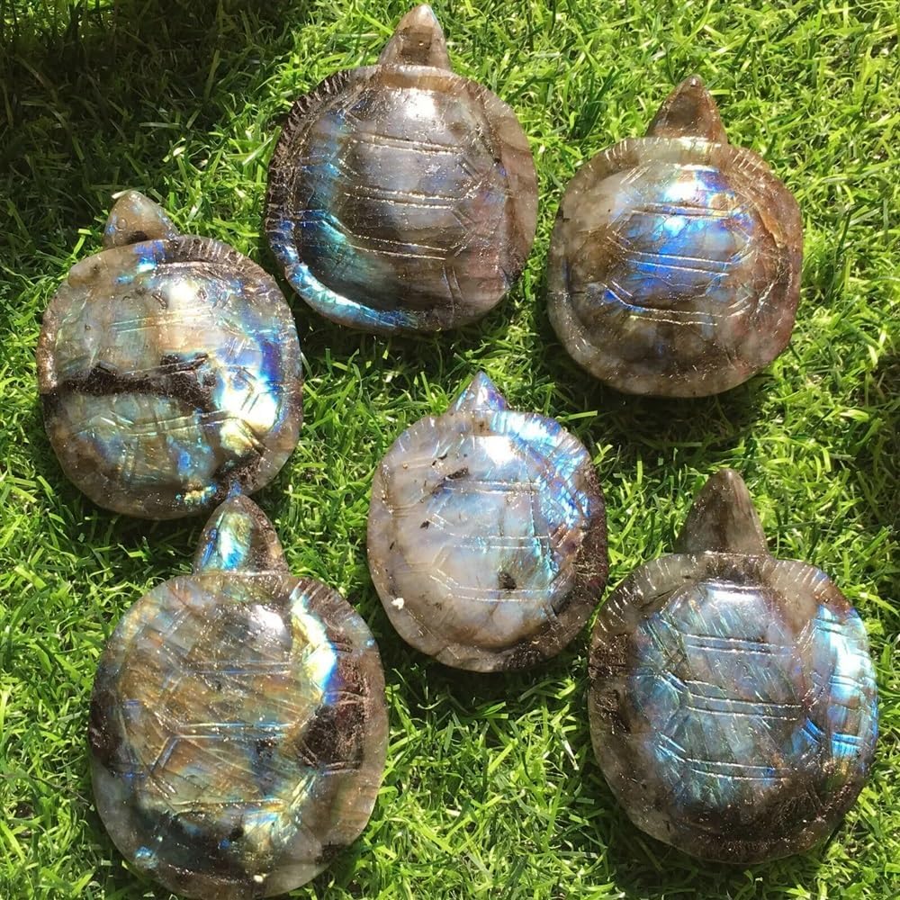 1PCS Labradorite Quartz Crystal Tortoise Skull Hand Carved Home Decor