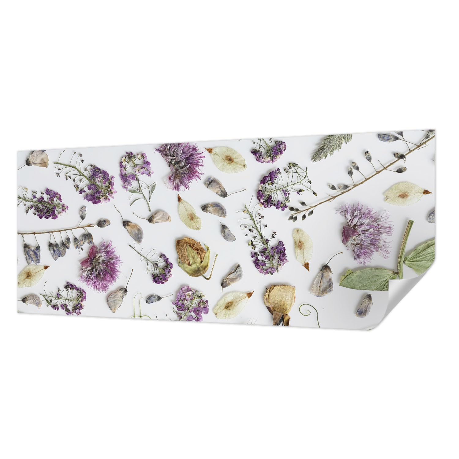 Papier peint photo autocollant haute qualité 250x104 fleurs séchées
