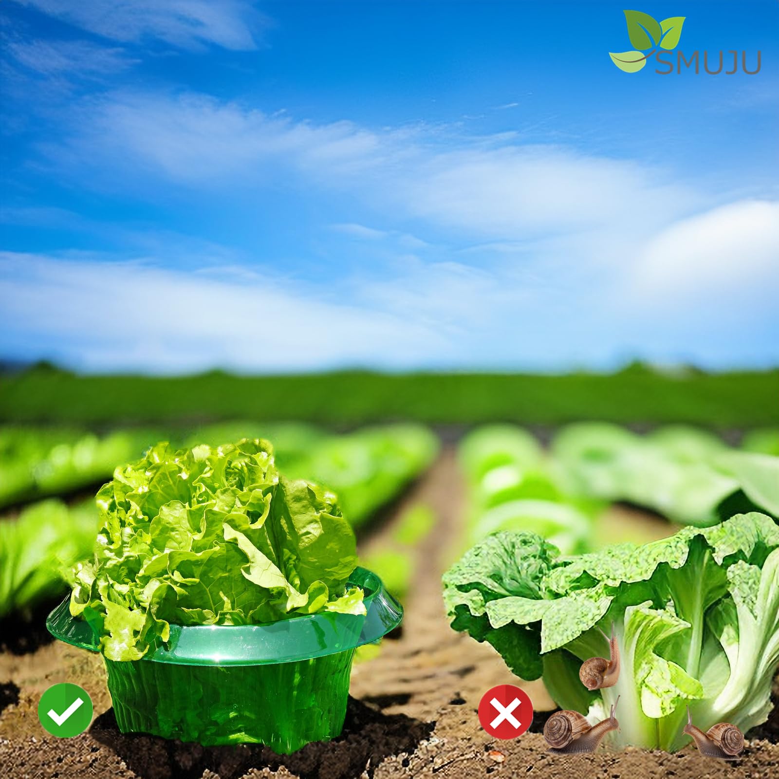 【12 Pièces】Protection Anti-escargots, Protections Anti-limaces, Protection Contre les Escargots, pour vos Plants de Salades et Choux - Protège Les Plantes Contre Les Animaux, Ø 24 cm (12 Pièces)