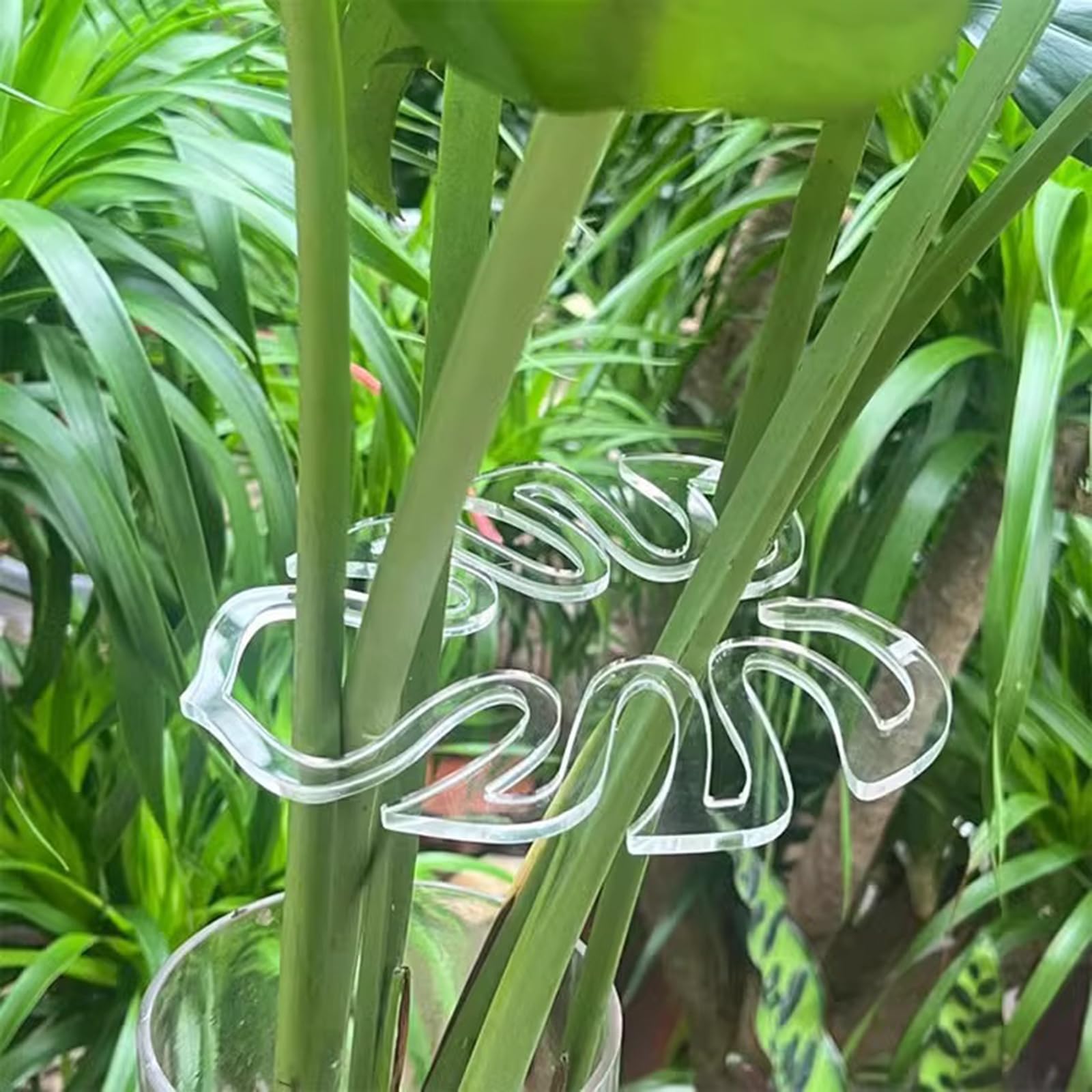Supporti per Clip Supporto da Giardinaggio Gestione efficiente, Adatti per i Piccoli vasi Che per Le Clip Supporto per Piante in plastica per l ' Agricoltura Larga