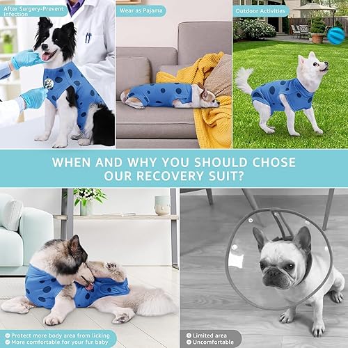 Miniatura 149 de Traje de cirugía para perros pequeños, esterilización femenina, traje profesional de recuperación para perros después de la esterilización, traje 2