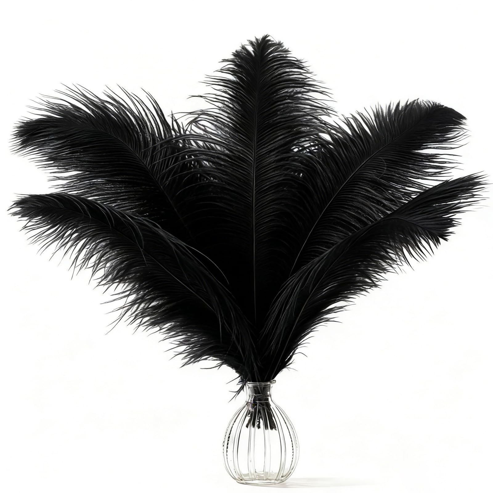 AOOTE Ostrich Feathers Plume, 12 Pcs Natural Ostrich Feathers, 25-30cm Dyed Ostrichs Feather, Black Party Table Feather for Wedding Home Table Christmas Decoration DIY Crafts, Black