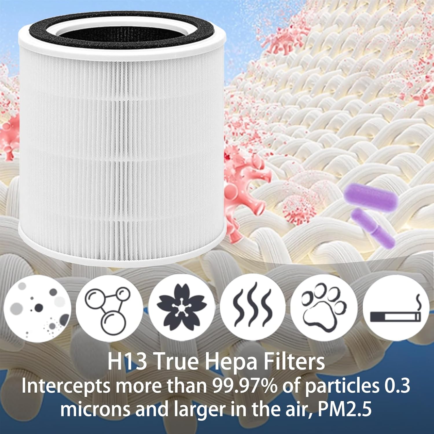 H13 True HEPA Filter capabilities