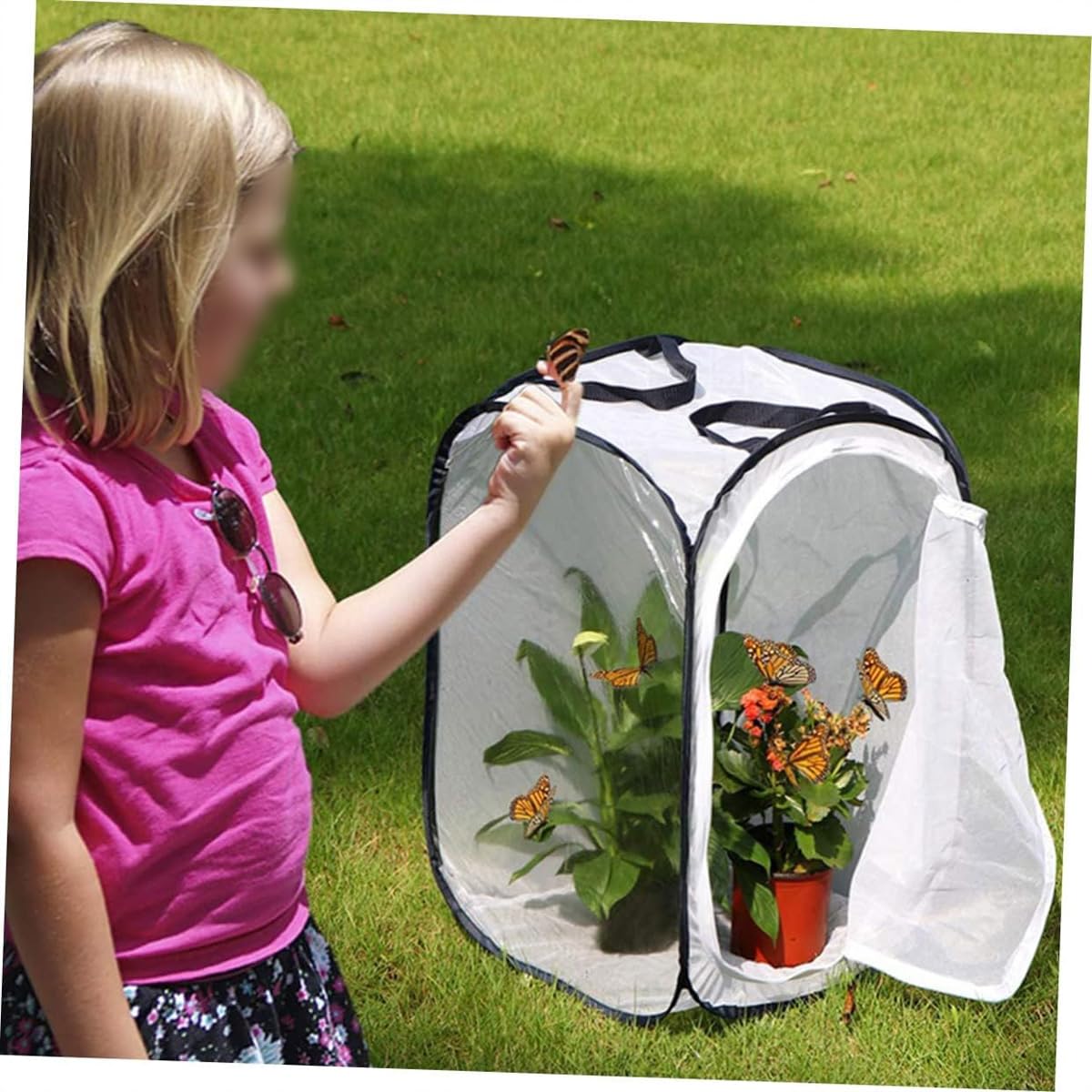 Ubric Jaula de cría de mariposas plegable para jardín, hábitat ventilado para insectos, 40 x 40 x 60 cm