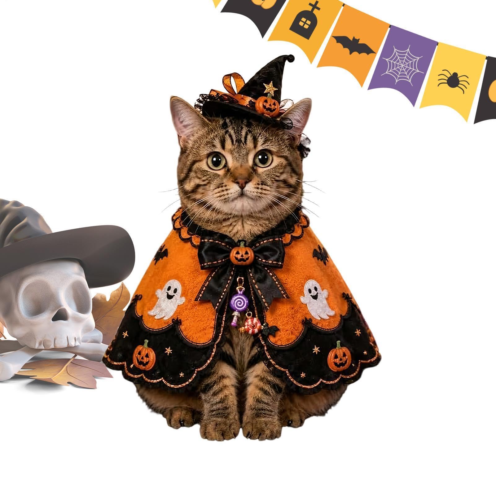 Capa de cosplay para gatos ideal en fotografías al aire libre