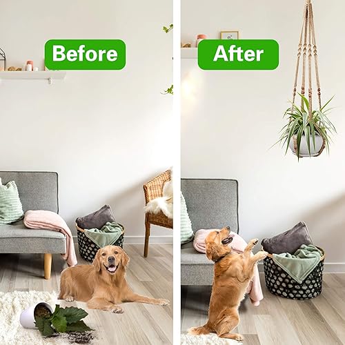 Vista 6 de Augshy 2 ganchos colgantes para plantas, para decoración de interiores y exteriores, macramé con 4 ganchos (35 pulgadas)