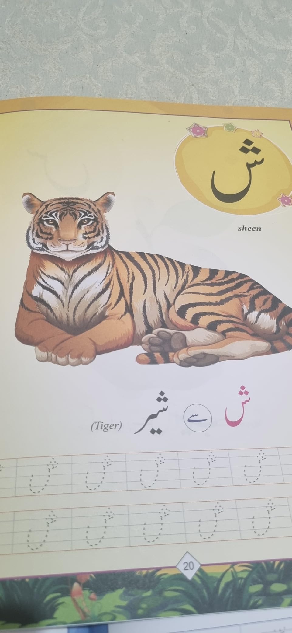 Buy Urdu Combo alphabets Book for kids (Set of 3) Book Online at Low ...