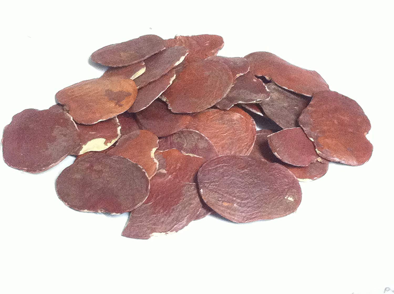 Golden Hills Farm Palas - Palash Beej - Bilas- Papda - Brehma - Vriksham - Chamatha - Butea Monosperma - Moduga Seeds - 15 seeds (B07PFLMLN3) Amazon Price History, Amazon Price Tracker