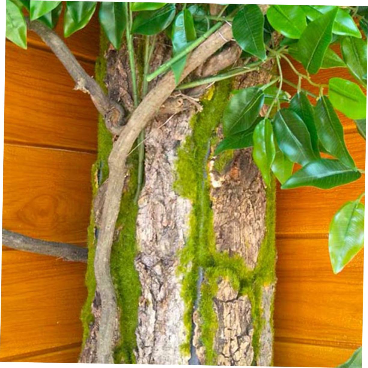 Corteza de Árbol Natural para Terrarios de Reptiles, Plataforma Segura para Trepar y Decoración de Hábitat Aspecto Real de Corteza para Lagartos