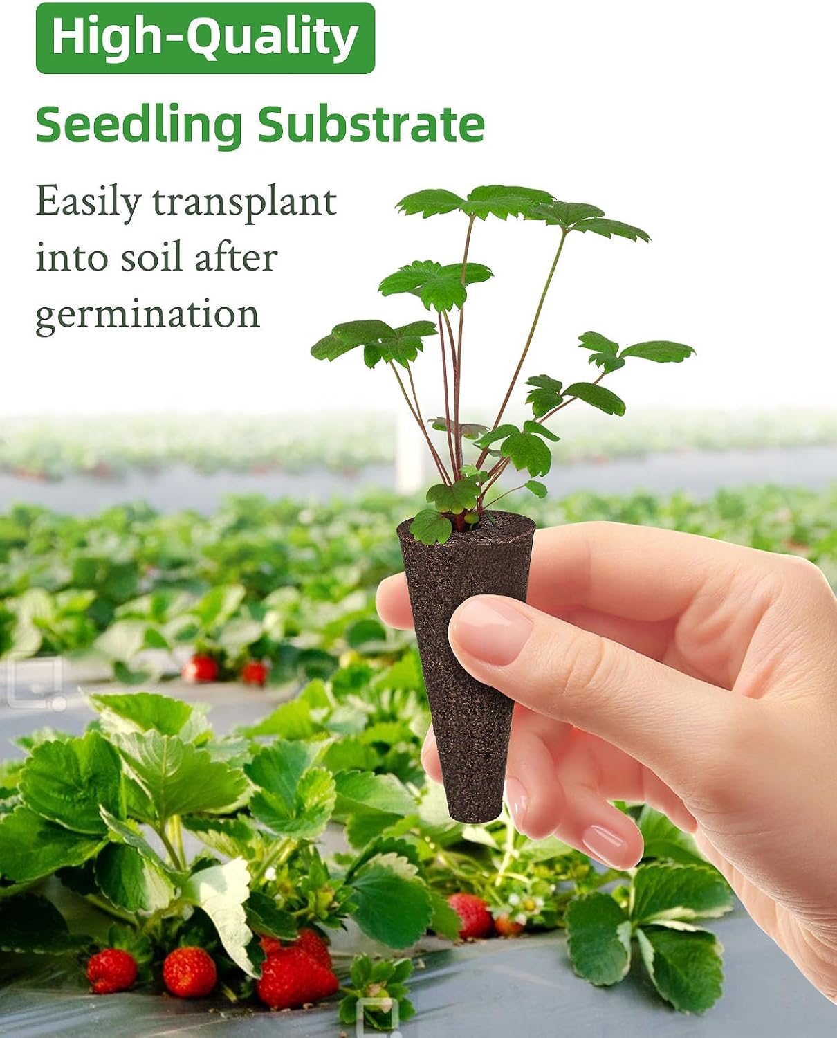 28 Pods Hydroponics Growing System & 240Pcs Hydroponic Seed Pods Kit