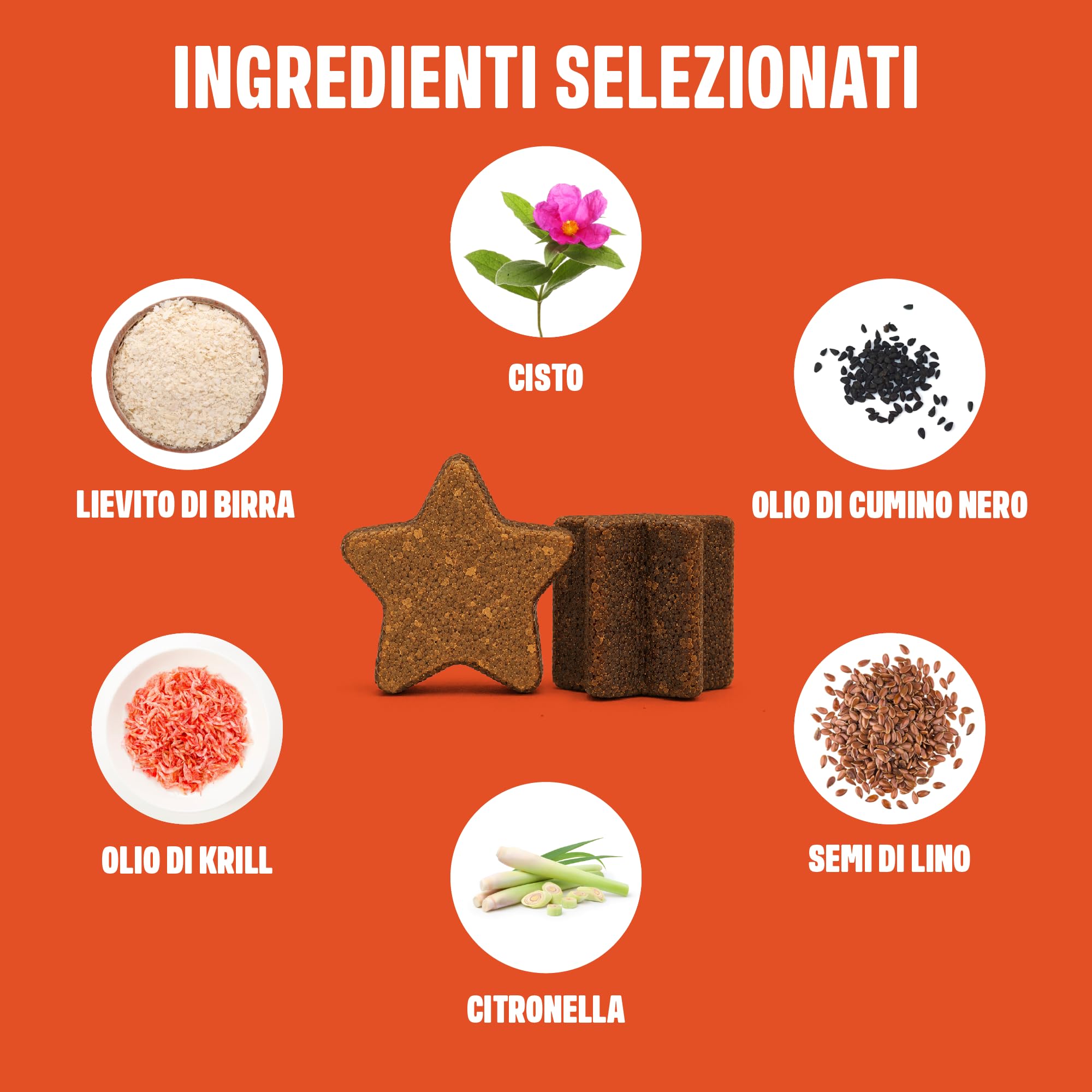 ivvi Outdoor per Cani – Snack Morbidi con Lievito di Birra, Olio di Cumino Nero, Olio di Krill e Cisto – Pelle, Pelo e Difese Naturali – 270 g, 60 Snack