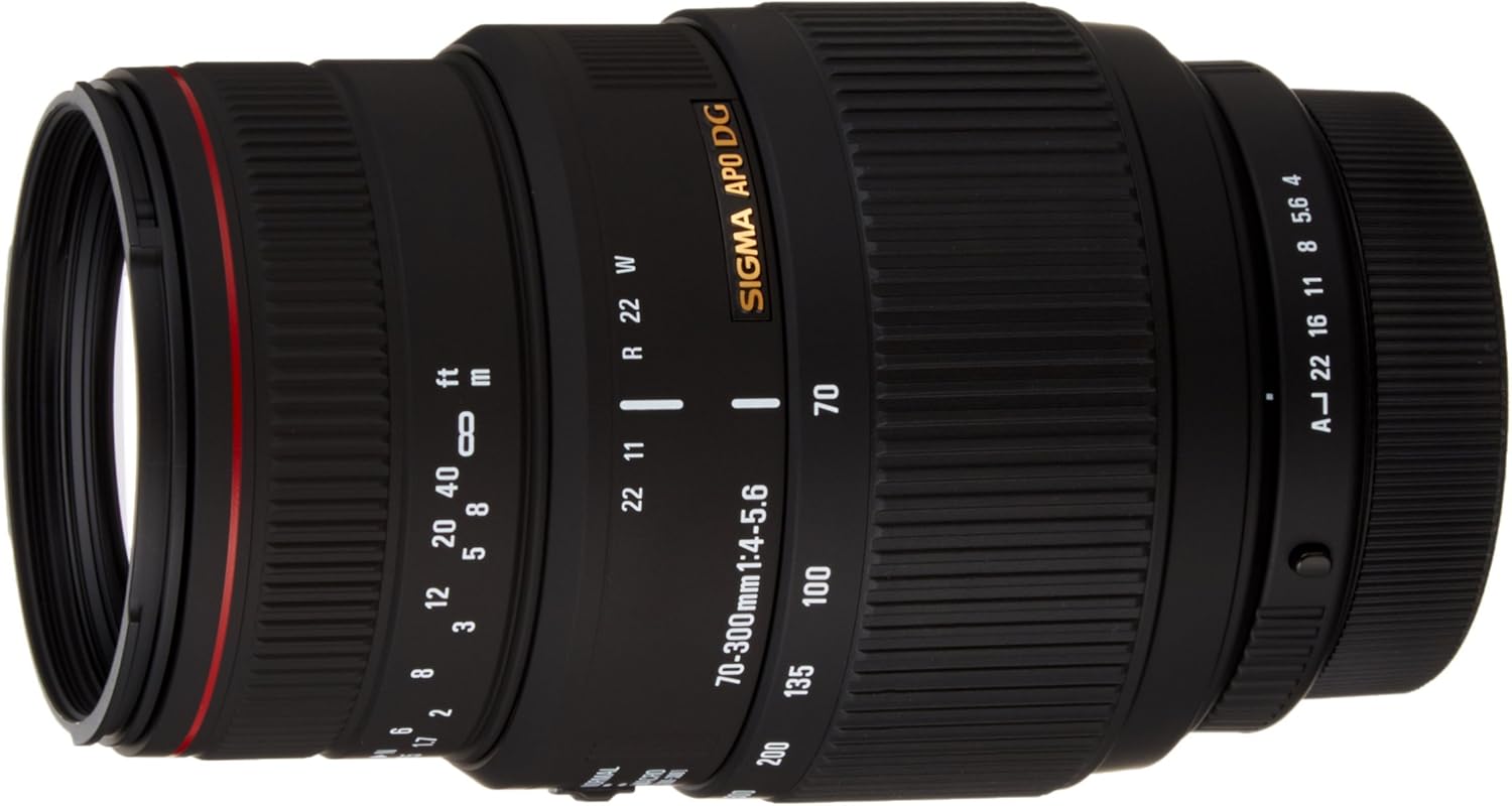 Nikon AF NIKKOR 70-300mm f/4-5.6 ズームレンズ Since 2001, 일본 구매대행 전문 재팬엔조이!