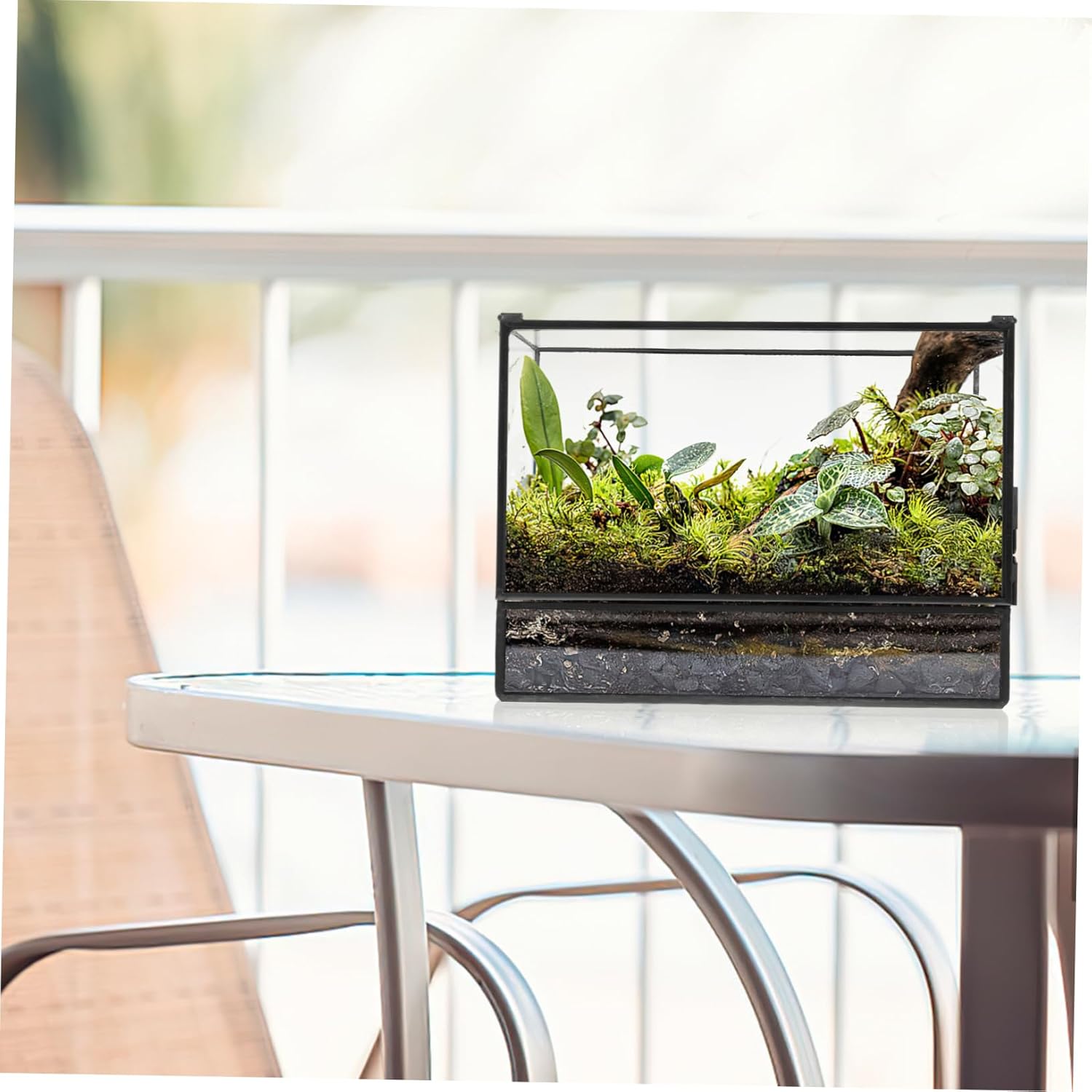 BESPORTBLE Micro Landscape DIY Terrarium Holder Glass Eco-Friendly Desktop Container for Moss Plants Stylish Geometric Design for Home Office Garden Decor