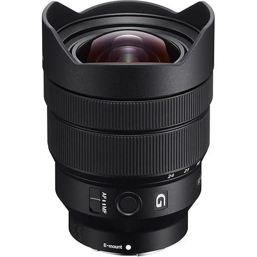 Sony - FE 12-24mm F4 G Wide-Angle Zoom Lens (SEL1224G),Black