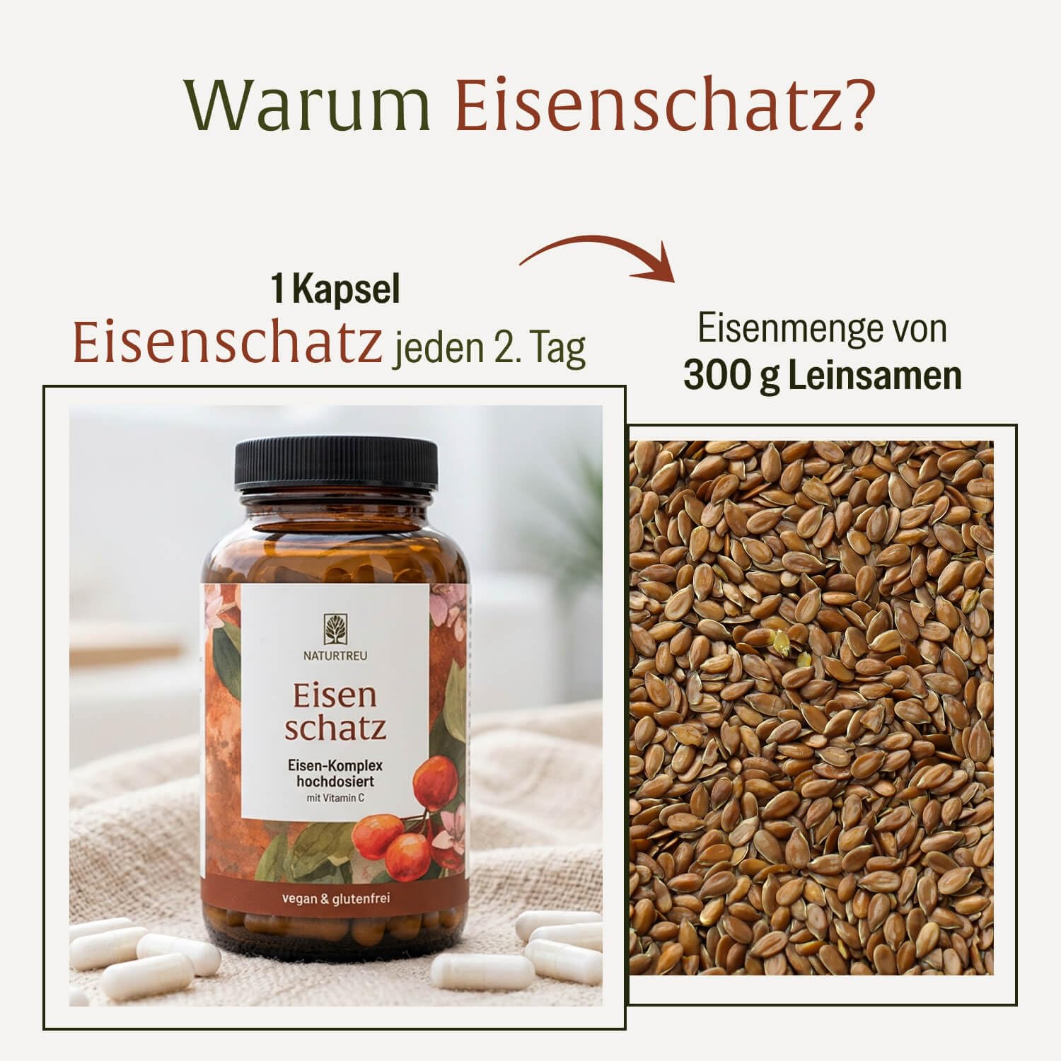 NATURTREU® Eisen Komplex hochdosiert - Eisenkapseln mit Vitamin C