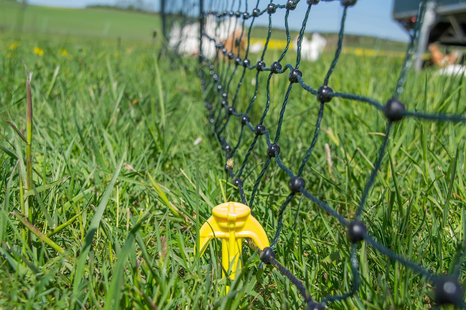 horizont Filet volaille Non électrifié 25m, h 1.2m