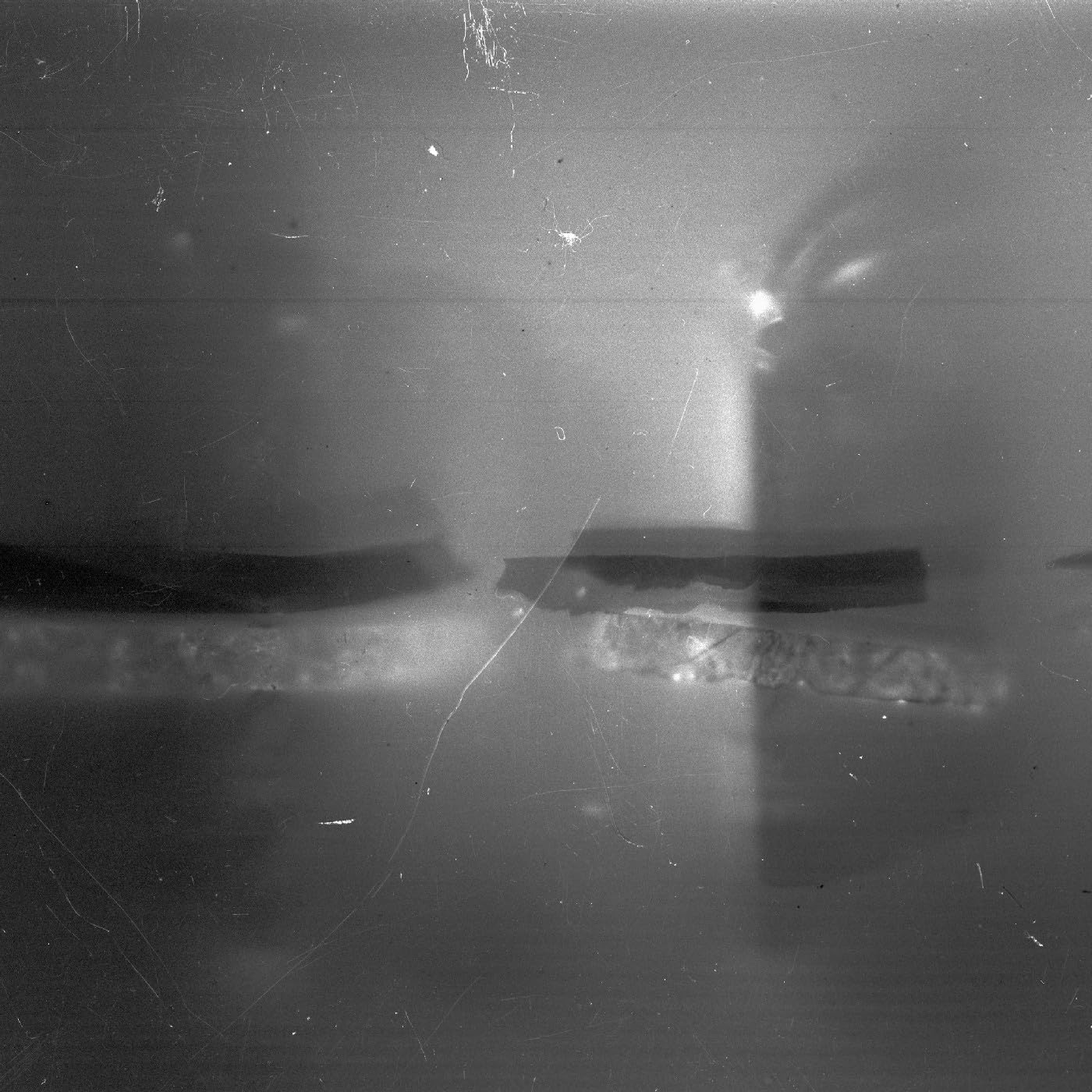Hundred Tongues [VINYL]
