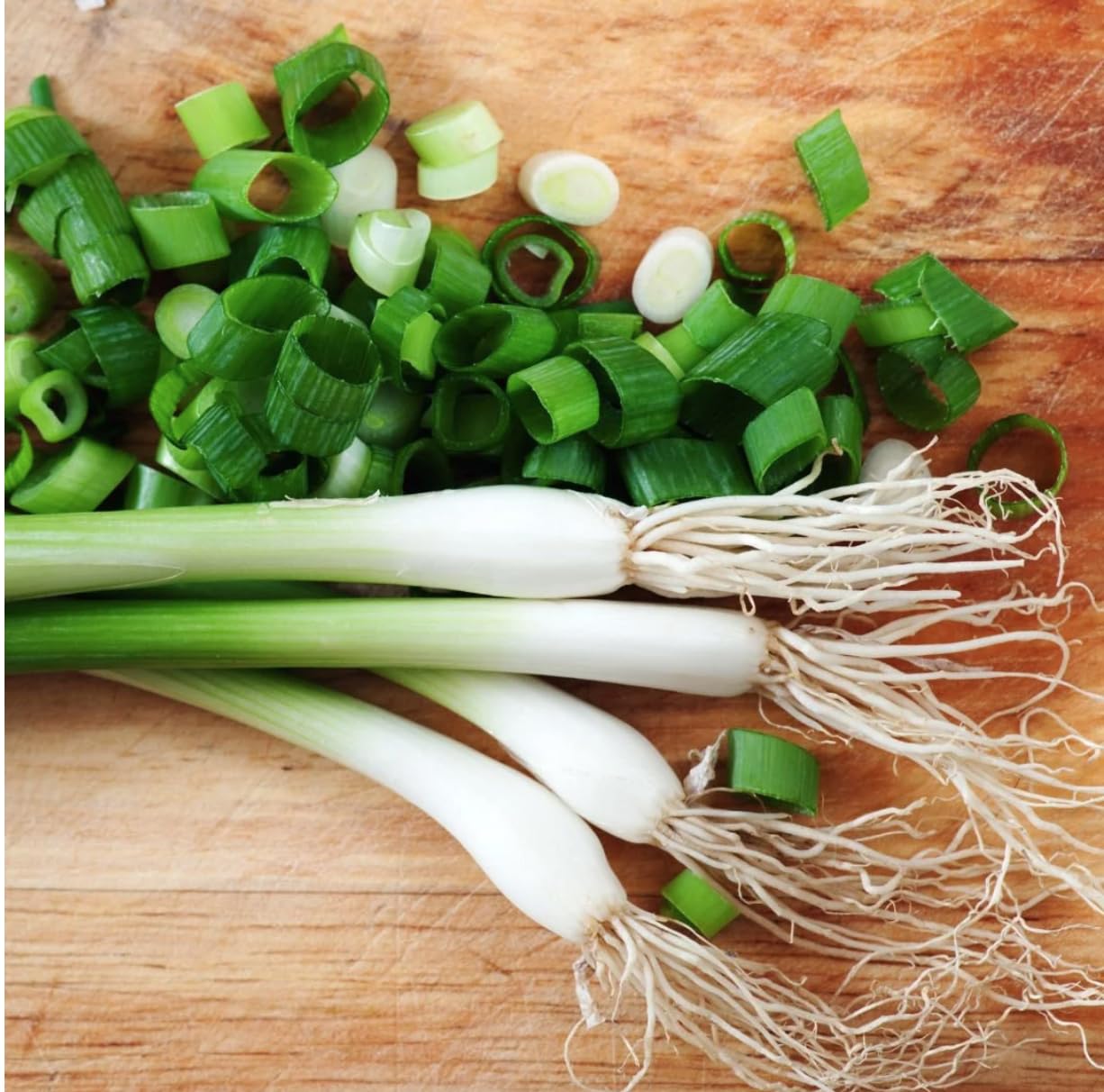 Green Onion Scallion Seeds Evergreen Hardy White 10 Seeds Non GMO Herb Vegetable