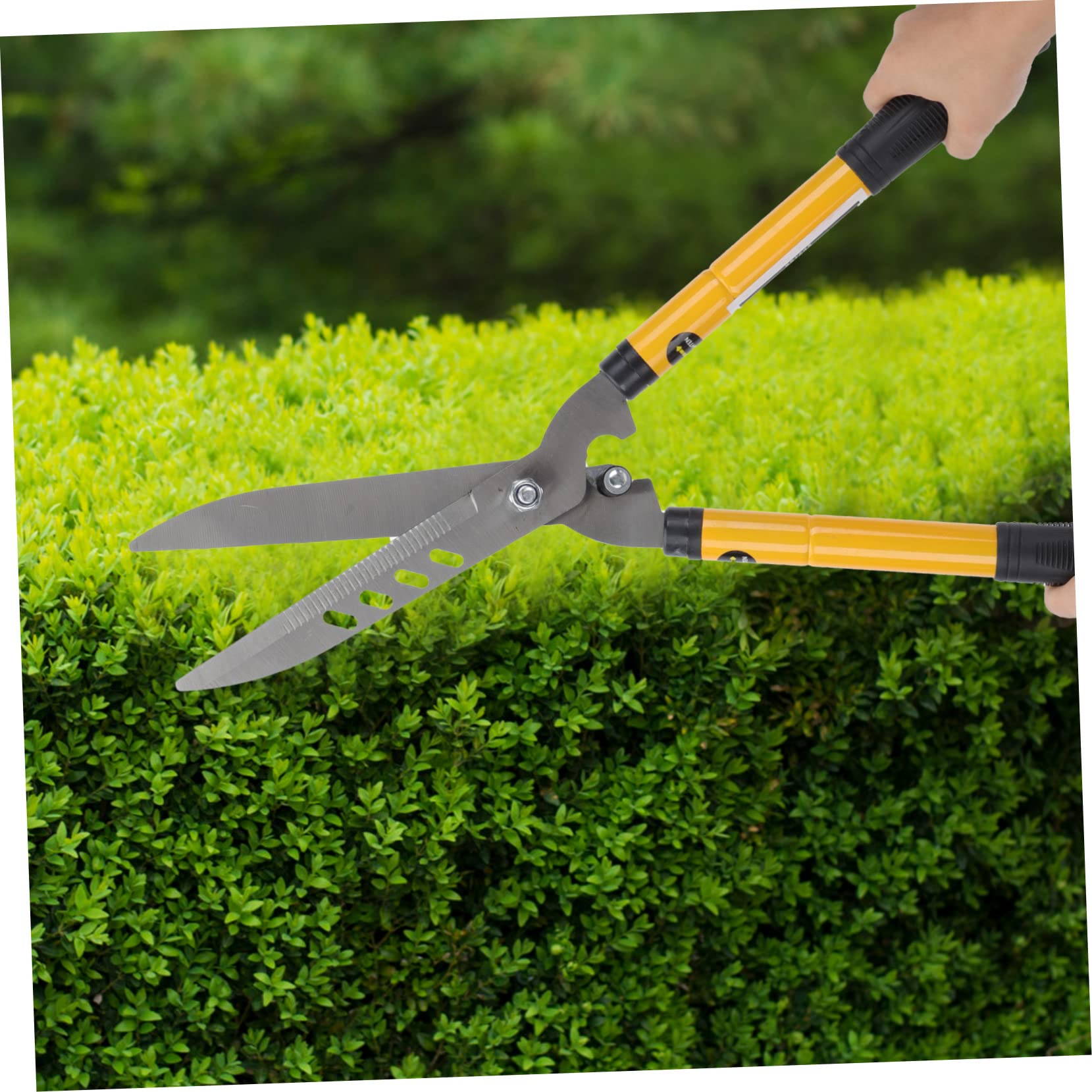 Gartenschere 1 Stück aus Stahl und Kunststoff für Obstgarten und Hecken | Tragbar und Leicht, Ergonomische Ausführung, Manuelles Schneidwerkzeug für Gartenarbeit