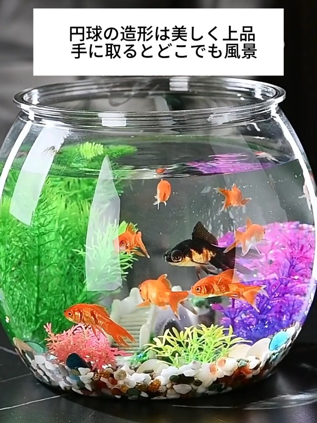 Amazon | DIATO 金魚鉢 水槽 プラスチック アクリル水槽 プラスチック